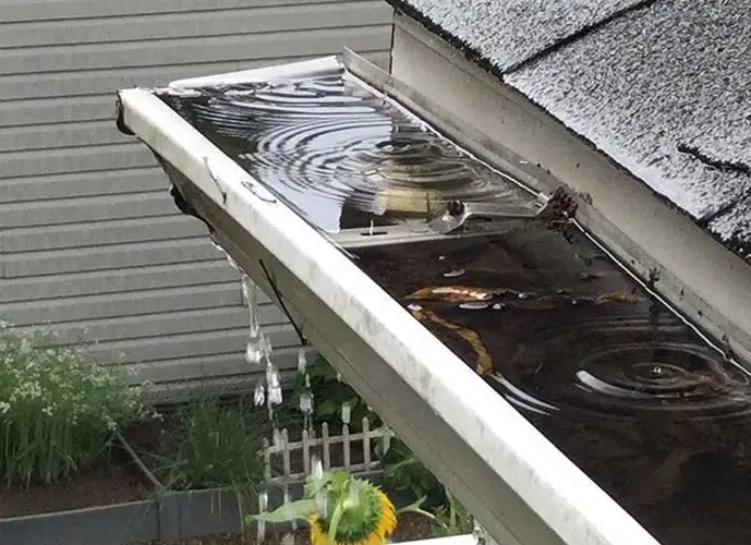 Prevención de daños en canalones mediante mantenimiento profesional
